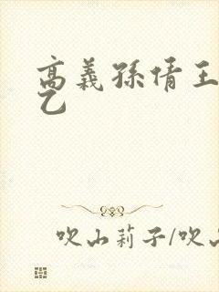 高义孙倩王申王乙