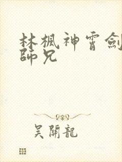 林枫神霄剑宗大师兄