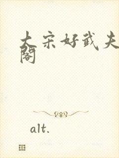 大宋好武夫笔趣阁