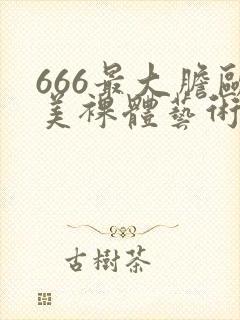 666最大胆欧美裸体艺术封面