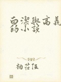 白洁与高义校长的小说