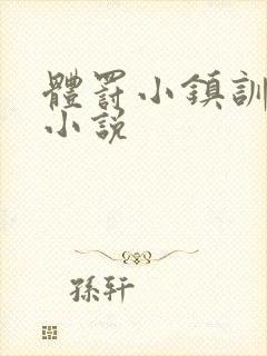 体罚小镇训诫文小说