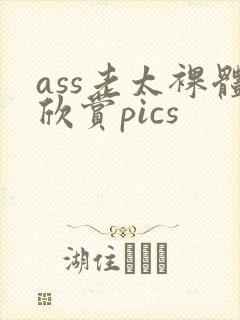 ass老太裸体欣赏pics封面