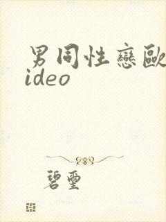 男同性恋欧美video