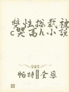 双性总裁被警察c哭高h小说