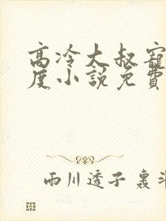 高冷大叔宠妻无度小说免费阅读