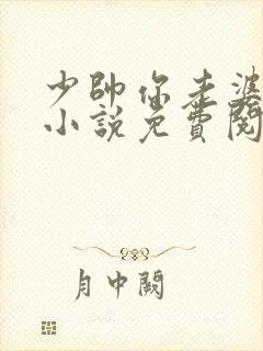 少帅你老婆跑了小说免费阅读