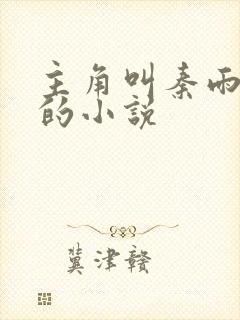 主角叫秦雨老旺的小说