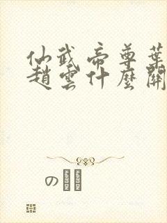 仙武帝尊叶辰跟赵云什么关系