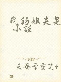 我的姐夫是太子 小说封面