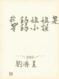 我的姐姐是大明星的小说