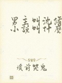 男主叫沈修瑾的小说叫什么名字封面