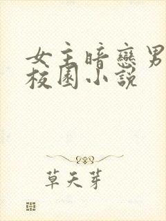 女主暗恋男主的校园小说