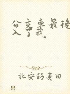 公交车最后一排入了我封面