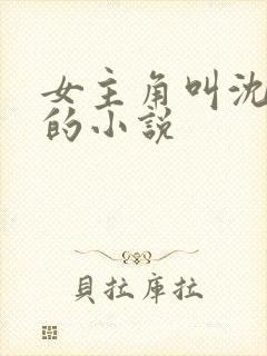 女主角叫沈青岚的小说封面