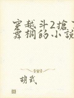 穿越斗2抢了唐舞桐的小说封面