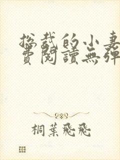 总裁的小妻子免费阅读无弹窗