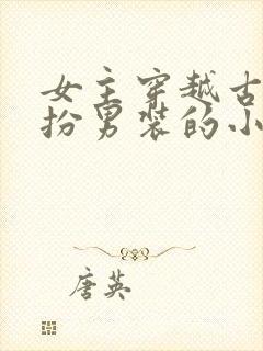 女主穿越古代女扮男装的小说封面