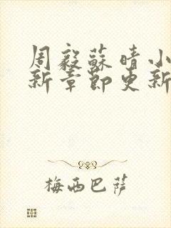 周毅苏晴小说最新章节更新时间