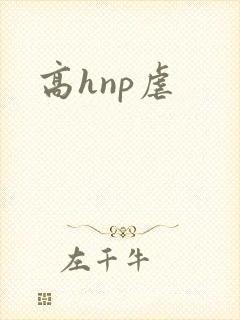 高hnp虐
