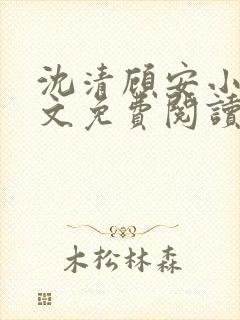 沈清顾安小说全文免费阅读封面