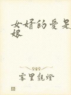 女婿的爱是丈母娘封面