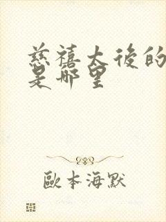 慈禧太后的老家是哪里封面