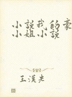 小说我的豪门大小姐小说