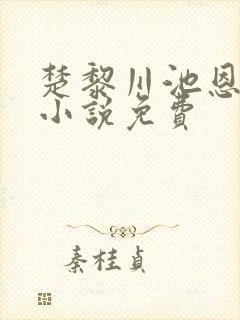 楚黎川池恩宁的小说免费封面