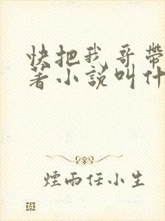 快把我哥带走原著小说叫什么