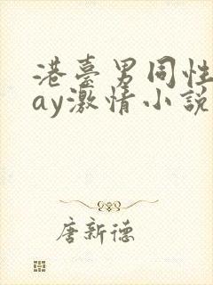 港台男同性恋gay激情小说