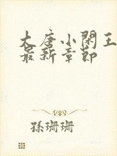 大唐小闲王小说最新章节