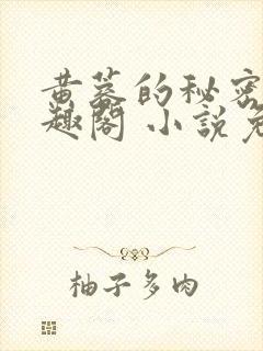 黄蓉的秘密 笔趣阁 小说免费阅读下载