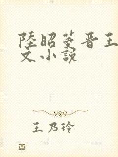 陆昭菱晋王的全文小说