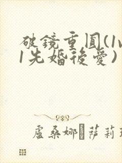 破镜重圆(1v1先婚后爱)封面
