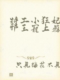 特工小狂妃高冷邪王宠上瘾