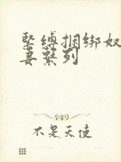 紧缚捆绑奴隷人妻系列