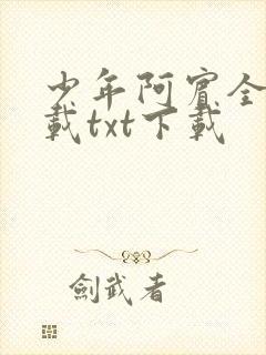 少年阿宾全文下载txt下载