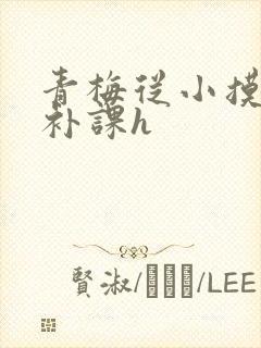 青梅从小摸到大补课h