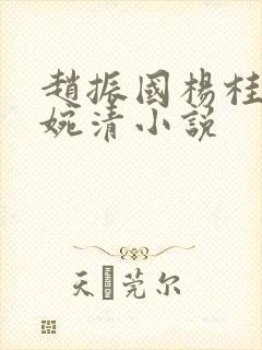 赵振国杨桂芳宋婉清小说