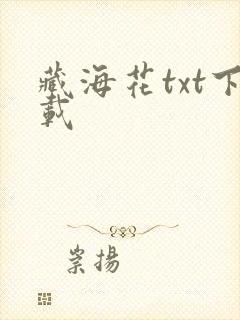 藏海花txt下载