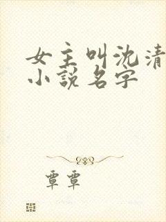 女主叫沈清禾的小说名字
