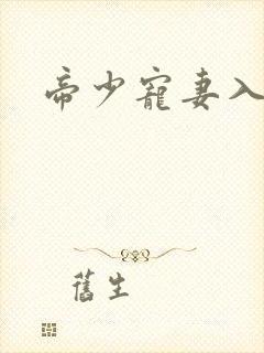 帝少宠妻入骨封面