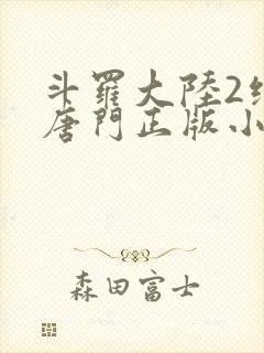 斗罗大陆2绝世唐门正版小说