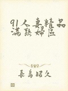 91人妻精品丰满熟妇区