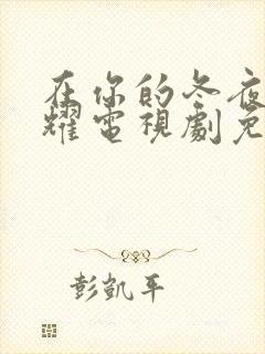 在你的冬夜里闪耀电视剧免费观看全集封面