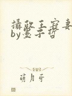 摄政王宠妻日常by墨子哲