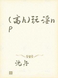 (高h)玩淫np