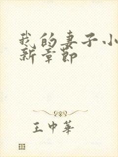 我的妻子小说最新章节