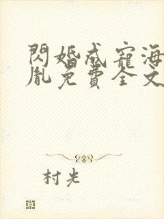 闪婚成宠海彤战胤免费全文